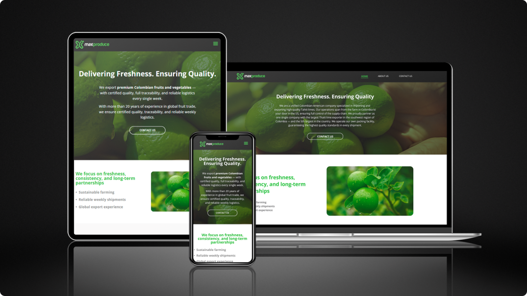 Diseño y desarrollo web Max Produce